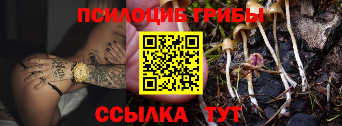 Псилоцибиновые грибы Psilocybine cubensis  Вход с VPN  Энгельс 