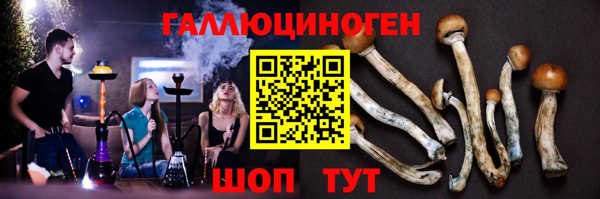 Галлюциногенные грибы GOLDEN TEACHER Энгельс